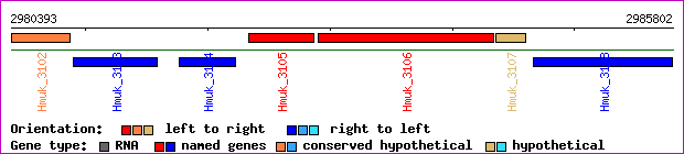 gene map