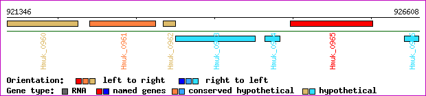 gene map