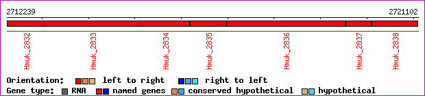 gene map