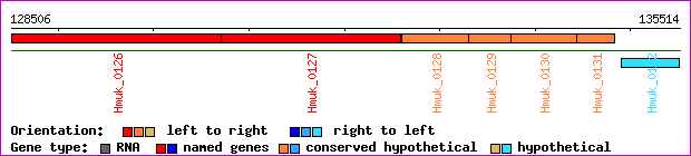 gene map