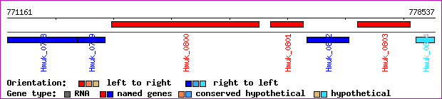 gene map