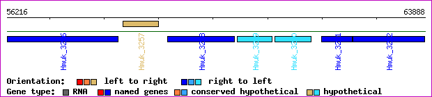 gene map