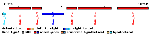 gene map