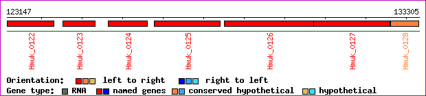 gene map