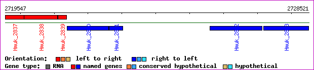 gene map