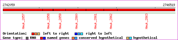gene map
