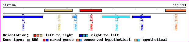 gene map