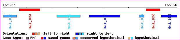 gene map