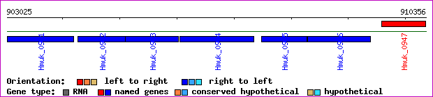 gene map