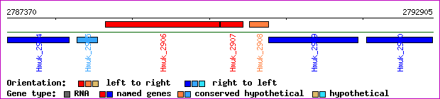 gene map