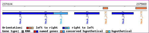 gene map