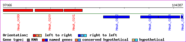gene map