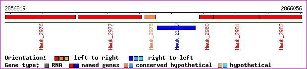 gene map