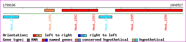 gene map