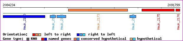 gene map