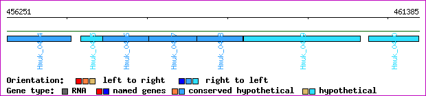 gene map