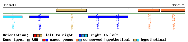 gene map