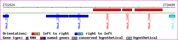 gene map