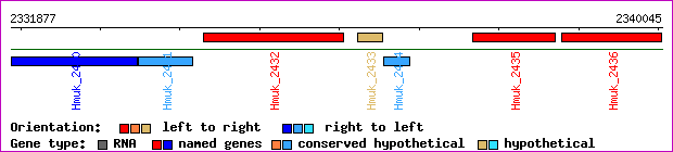 gene map