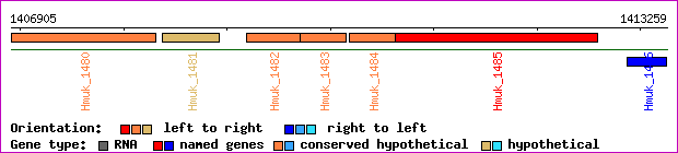gene map