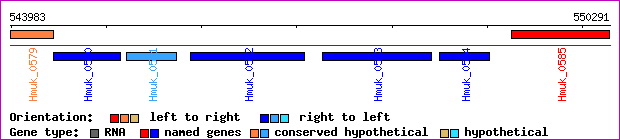 gene map