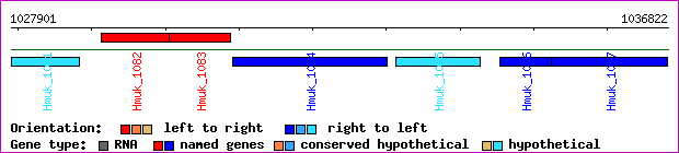 gene map