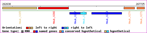 gene map