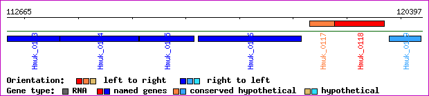 gene map