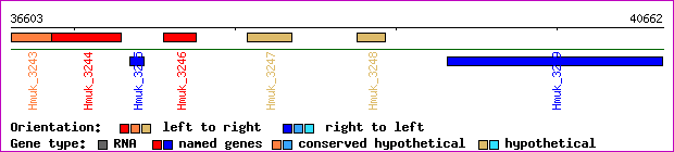 gene map