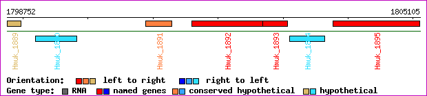 gene map