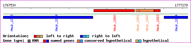 gene map
