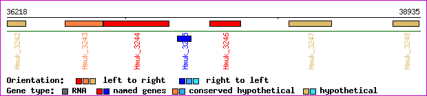gene map