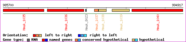 gene map