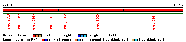 gene map