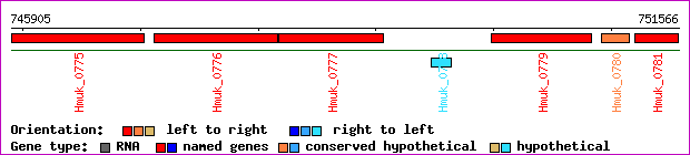 gene map