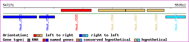 gene map