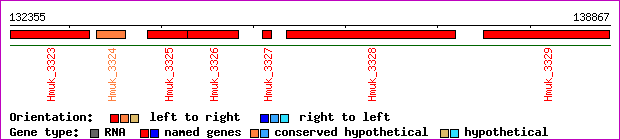 gene map