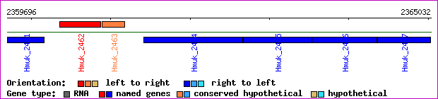 gene map
