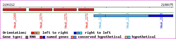 gene map