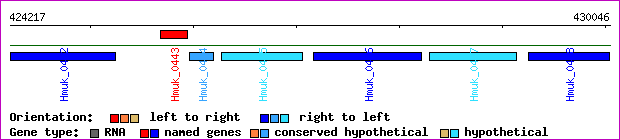 gene map