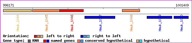 gene map