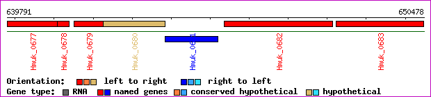gene map