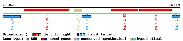 gene map