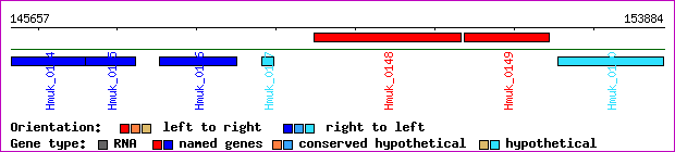 gene map