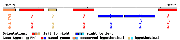 gene map