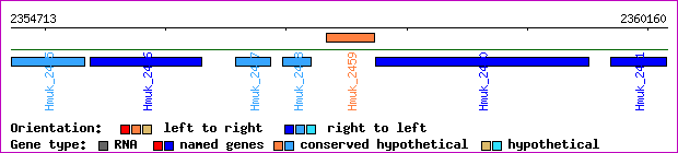 gene map