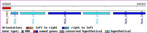 gene map