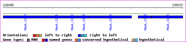 gene map