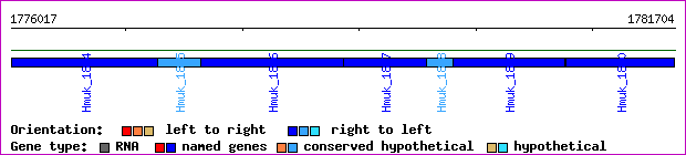 gene map