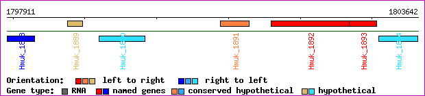 gene map